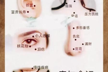 风水脸部哪里的痣不能点眉毛的痣