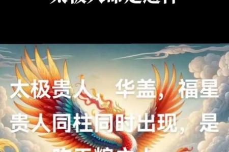 八字命理解说：华盖运是什么意思