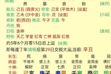 八字人格