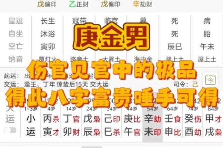 八字伤官旺的人怎么样 八字伤官旺如何