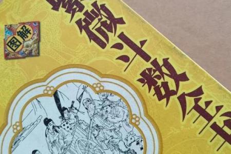 紫薇斗数命身宫