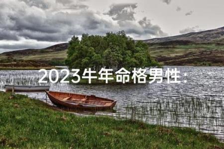 牛年生肖算命揭秘你的命运