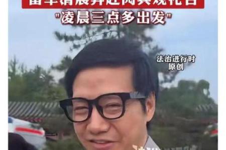 雷军紫薇斗数