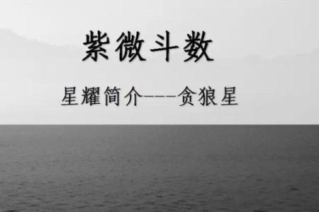 姜子牙紫薇斗数