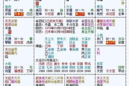 紫微斗数子女宫空宫  紫微斗数子女宫对宫