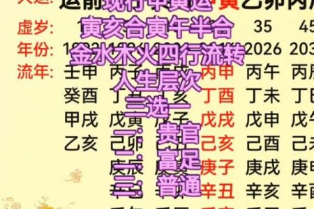 人生八字