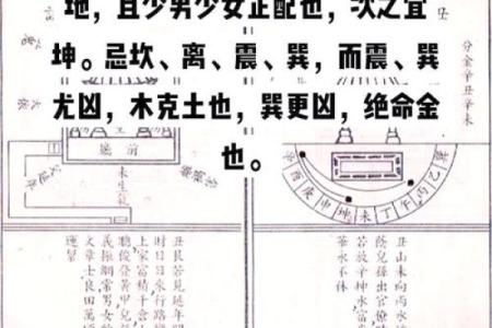 八字偏旺