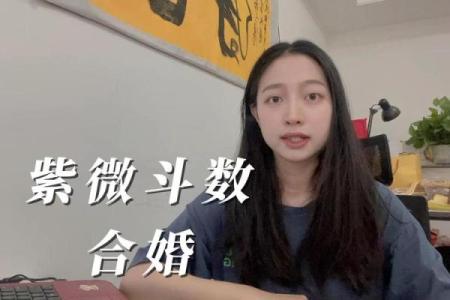 双人紫薇斗数在线合盘
