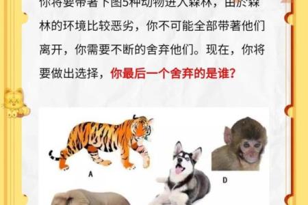 测友谊的问题,友谊小测试