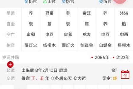 简单易懂的八字解析，告诉你怎么看八字，免费排八字查询表，快来试试！