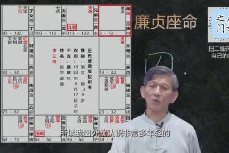 廉贞星坐守官禄宫紫微斗数大成