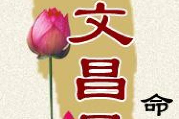 八字带文昌星的人好吗,八字带两个文昌星什么意思