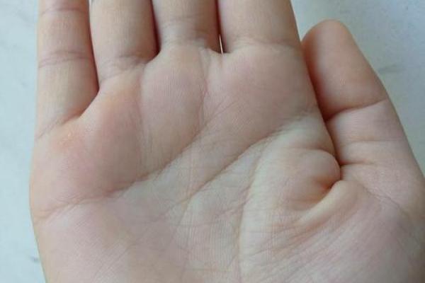 称骨算命解析：命重五两二钱，解锁你的事业、财运与婚姻！