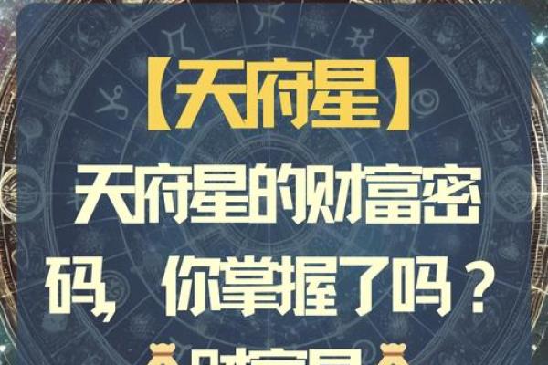 天府星紫薇星入父母宫
