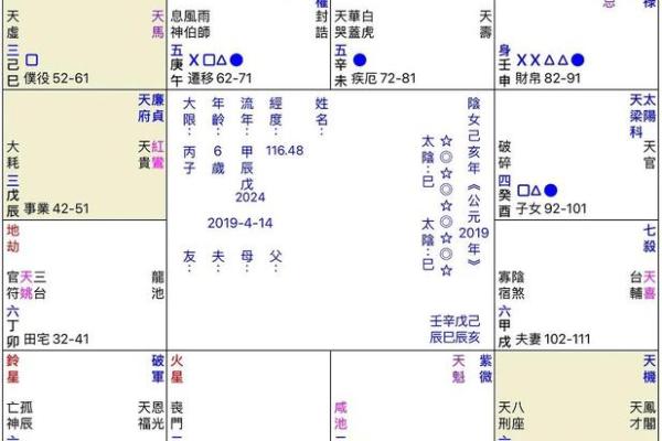 紫薇斗数中同度什么意思