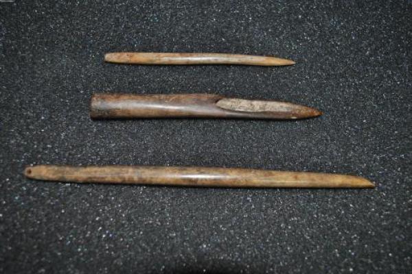 骨命算命表,骨相算命表龙骨