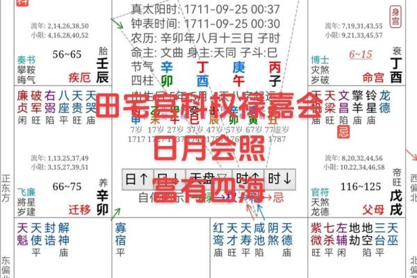 紫薇斗数网上命例