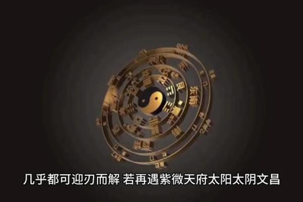 紫薇斗数命宫天魁星