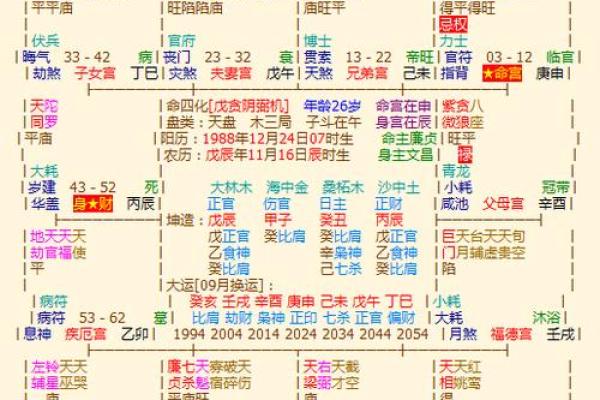 z紫薇斗数排盘