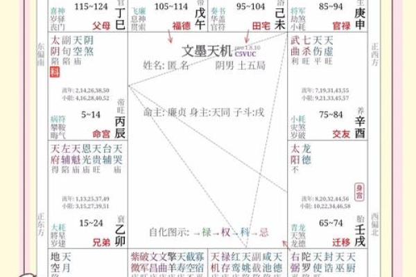 王员外紫薇斗数