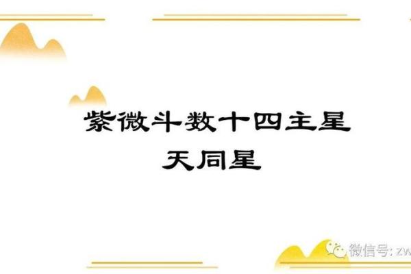 紫薇斗数重叠