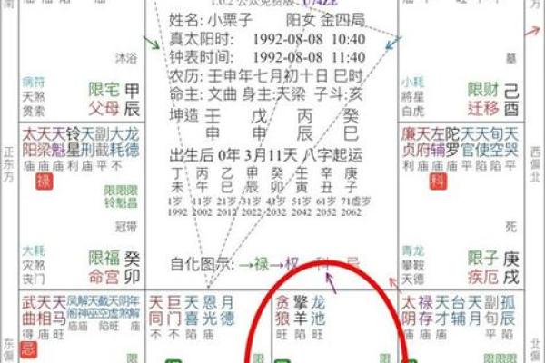 紫微斗数之后天运势－－岁限的分析推断：看流年