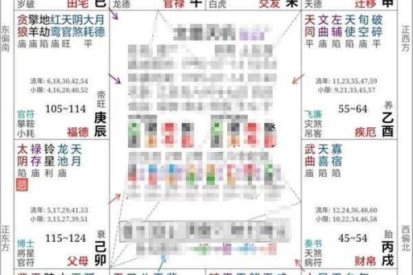紫薇旺落疾厄宫