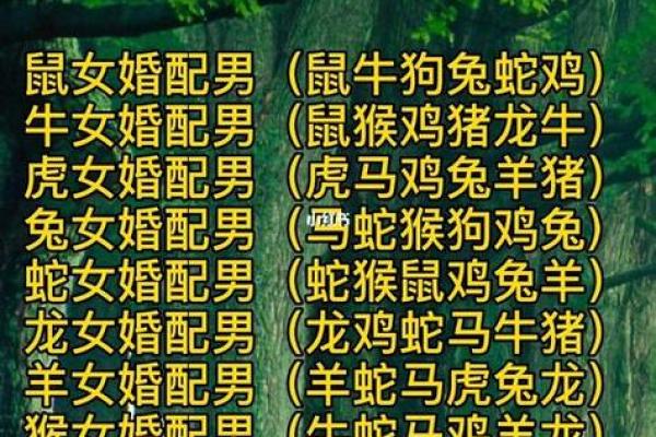 属相婚配算命真相