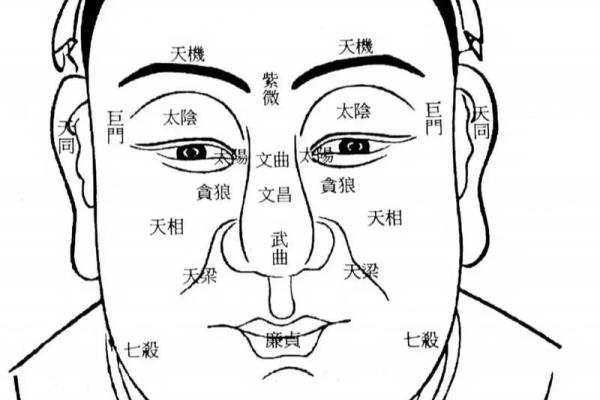 紫微斗数七杀坐命婚恋 七杀坐命面相？