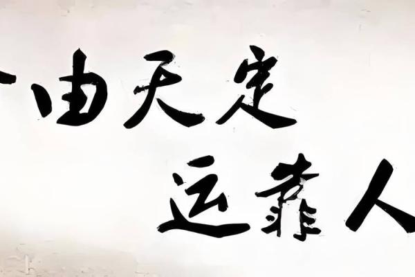 八字合3个字