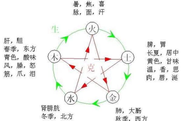 肩膀宽算命