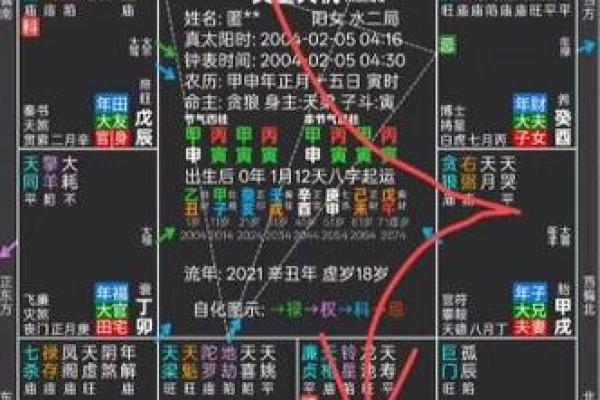 紫薇斗数流年看外出