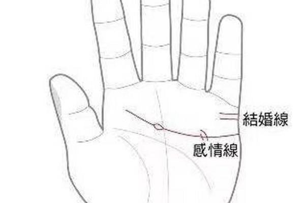 男人左手手相算命图解 婚姻线清晰无曲折象征幸福