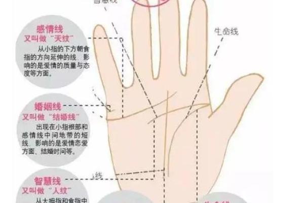 看手相算命婚姻