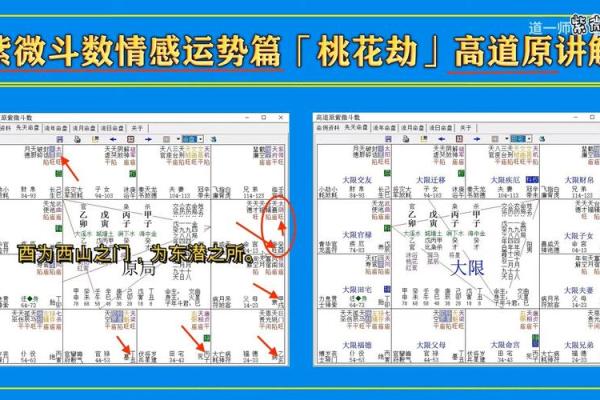 桃花劫的八字
