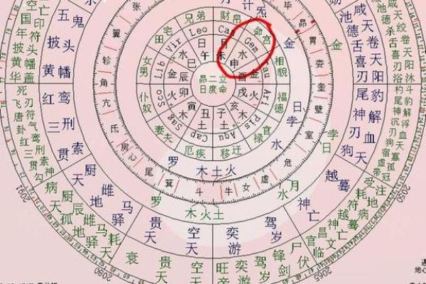 生辰紫微斗数 紫微斗数生辰八字？