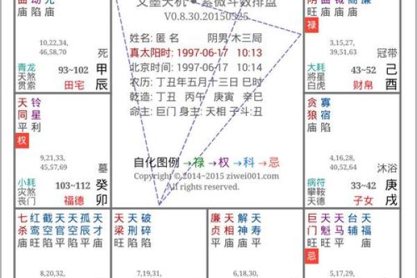 紫薇斗数详细批