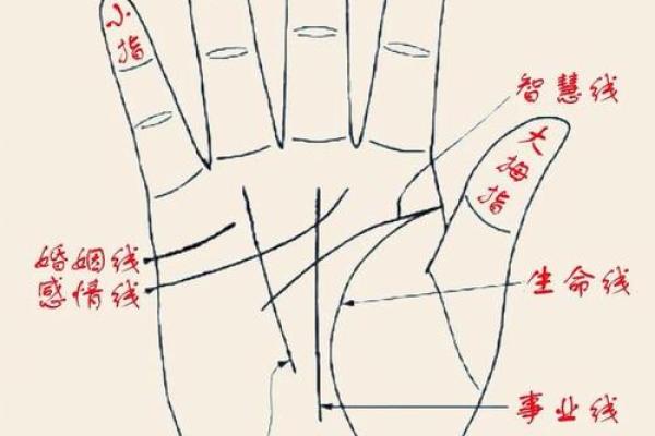 女性手纹算命图解