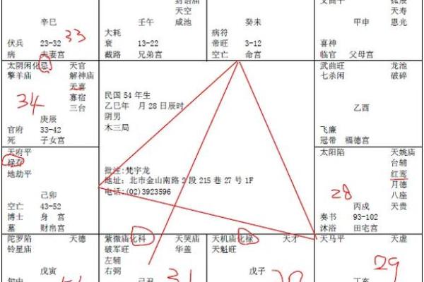 倪海厦推荐的紫薇斗数