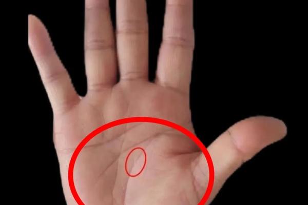 女性手纹算命图解