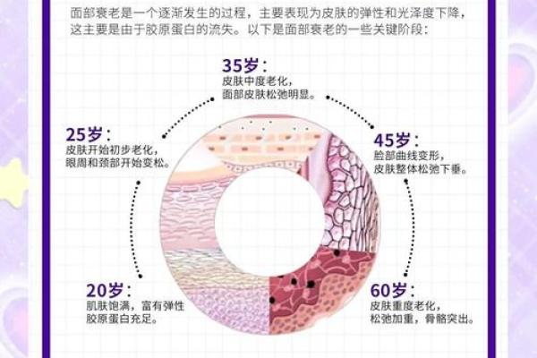面部衰老八字图