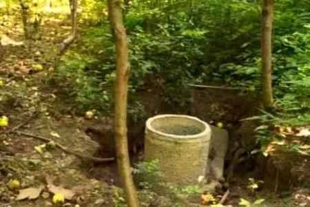 平原墓地风水怎么看