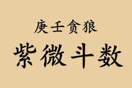 紫薇斗数视频进阶