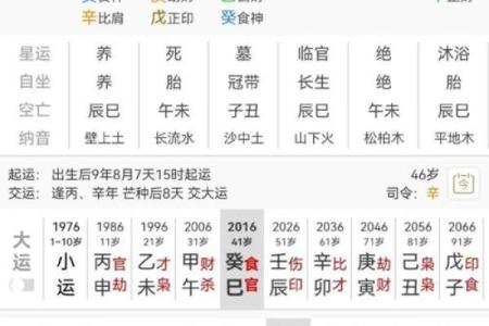 查自己的八字