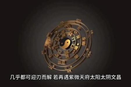 紫薇斗数命宫天魁星