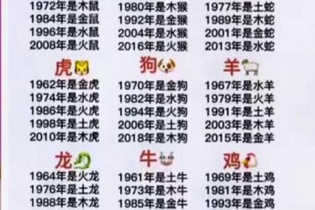 2024龙年寒衣节出生的男宝宝五行查询 八字是什么