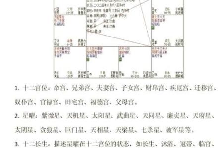 紫薇斗数怎么分析