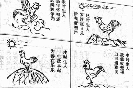 属鸡性汉取名大全，如何根据生辰八字快速选取适合自己的姓名