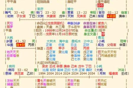 z紫薇斗数排盘
