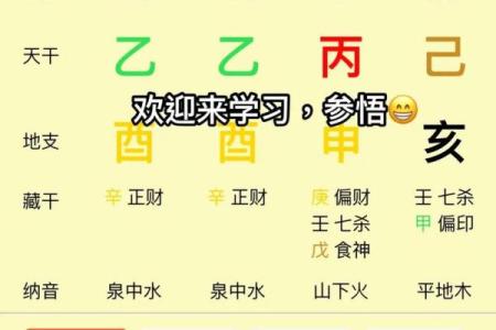 八字排盘软件免费版